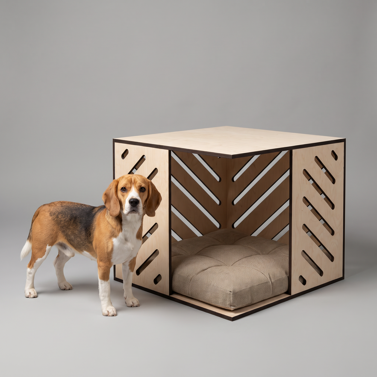 Modern Huş Kontrplak Kedi & Köpek Evi – Minderli, İç Mekan Pet Kulübesi, Minimal Ahşap Tasarım