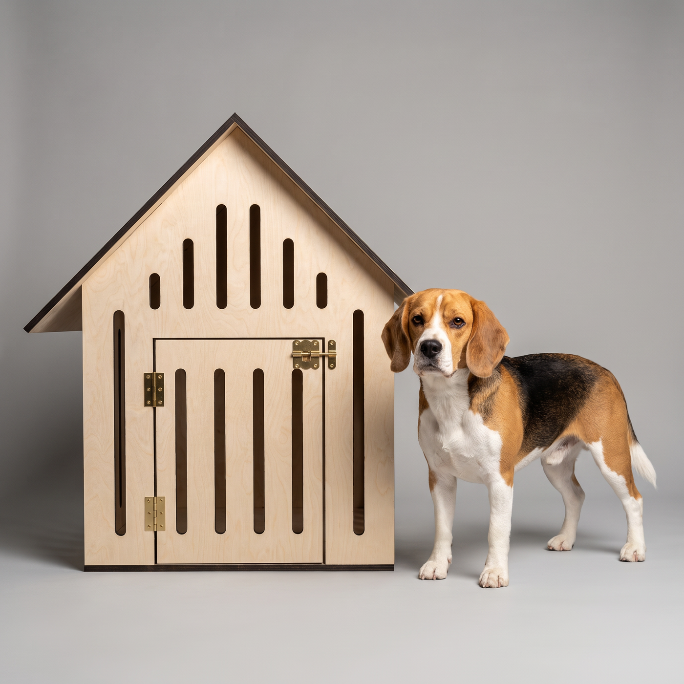 Minimalist Ahşap Köpek Evi | Modern İç Mekan Pet House, Minderli, Huş Kontrplak