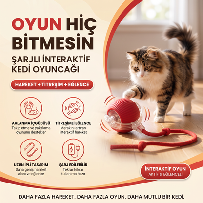 Şarjlı İnteraktif Kedi Oyuncağı | Titreşimli Hareketli Top ve İpli Av Oyuncağı