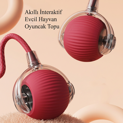 Şarjlı İnteraktif Kedi Oyuncağı | Titreşimli Hareketli Top ve İpli Av Oyuncağı