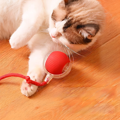 Şarjlı İnteraktif Kedi Oyuncağı | Titreşimli Hareketli Top ve İpli Av Oyuncağı