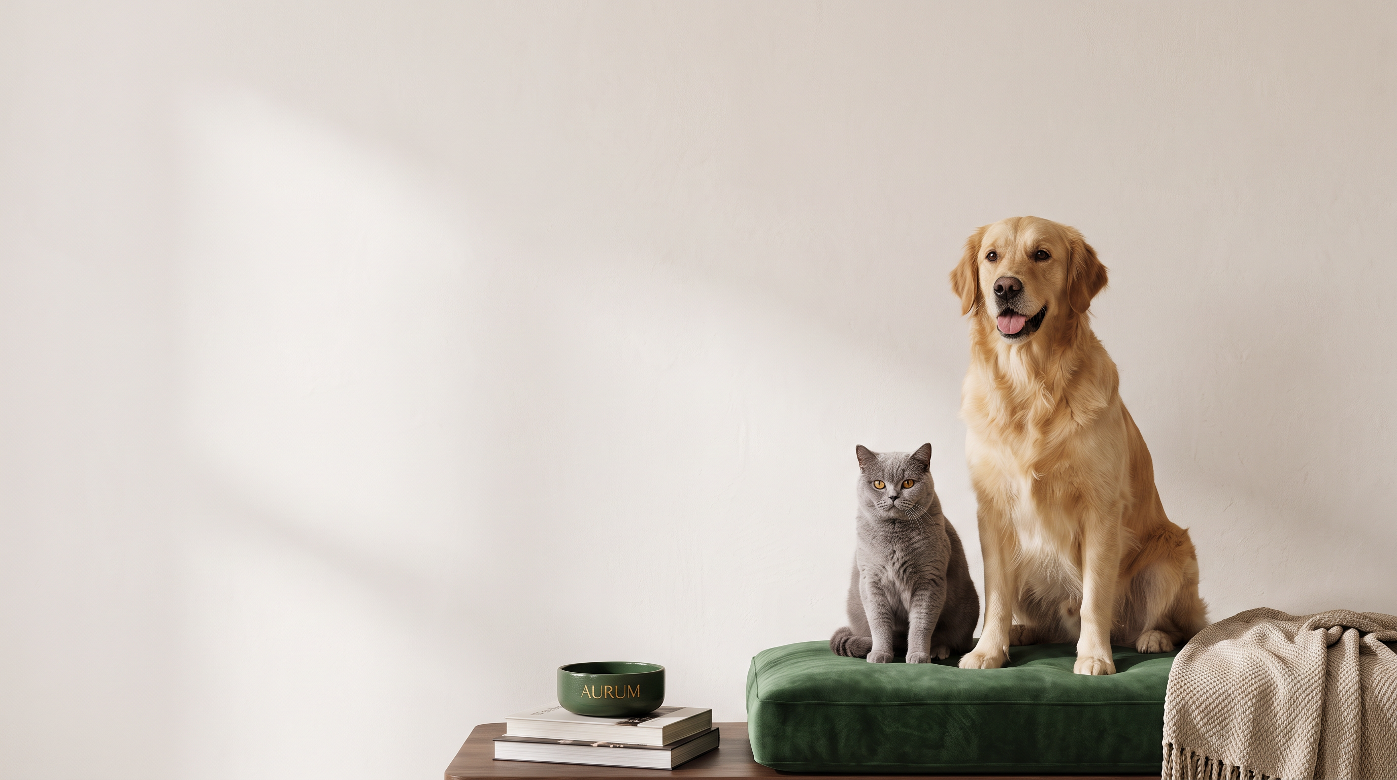Kediler ve köpekler için Jolly Tails bakım, oyuncak ve yaşam ürünleri
