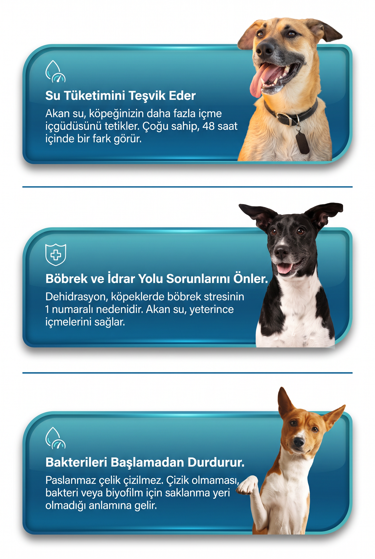Kedi ve köpek kullanımına uygun otomatik evcil hayvan su sebili