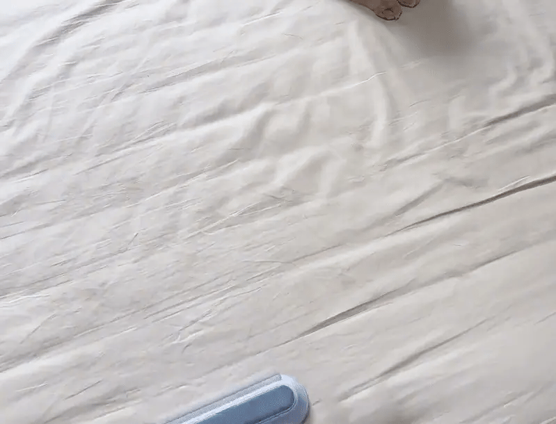 Kedi Köpek Tüy Toplayıcı | Uzun Saplı Çok Amaçlı Tüy Temizleme Aparatı